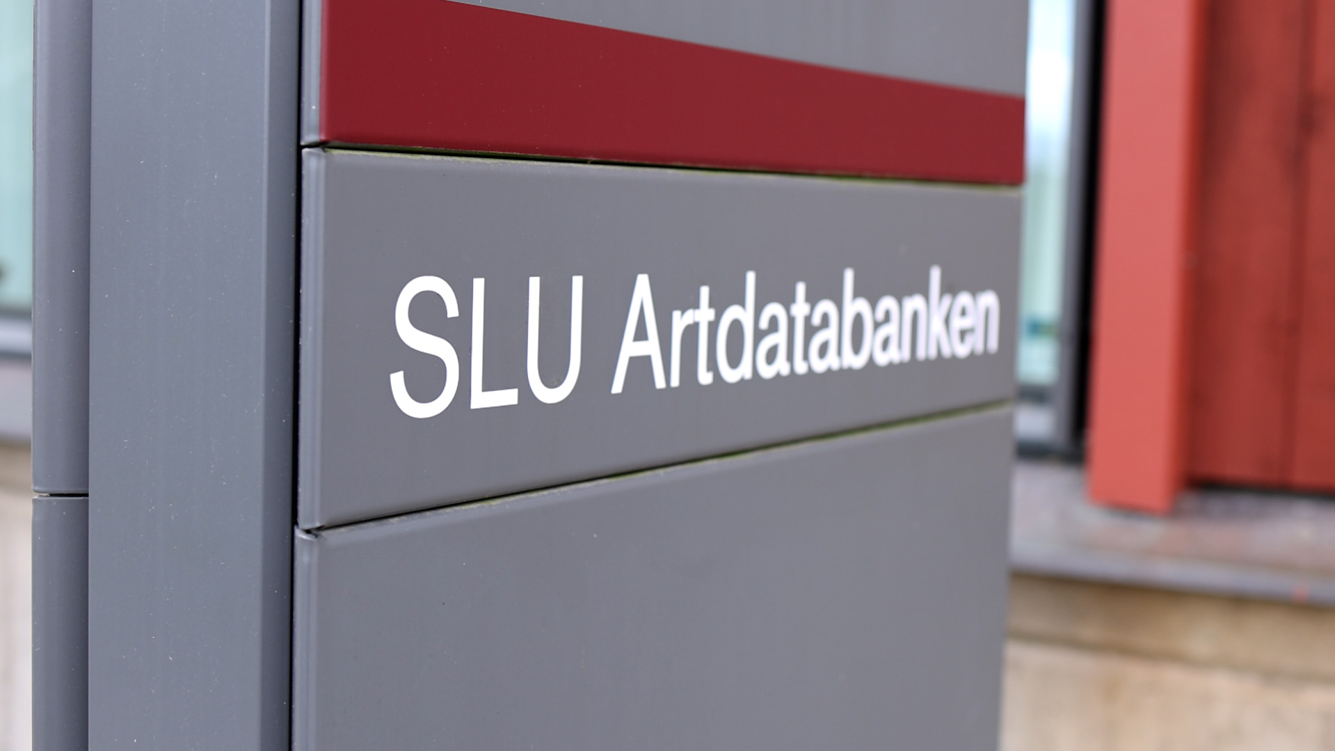 Skylt med texten SLU Artdatabanken. Foto