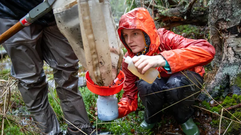Researchers filtering a water sample in a forest environment.