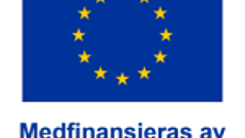 EU logo