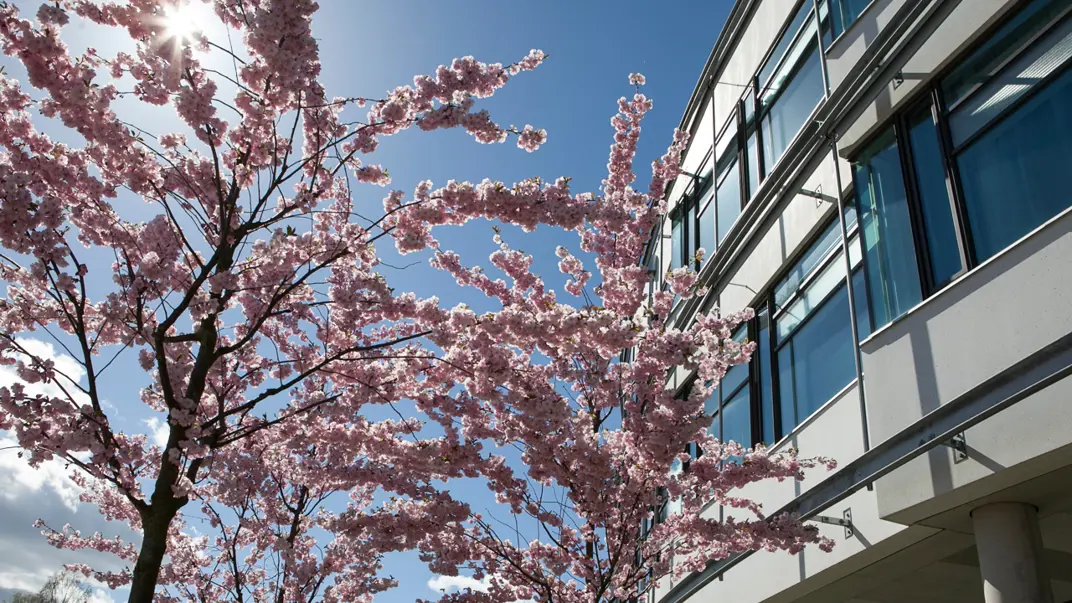 veterinärmedicinskt-och-husdjursvetenskapligt-centrum-uppsala