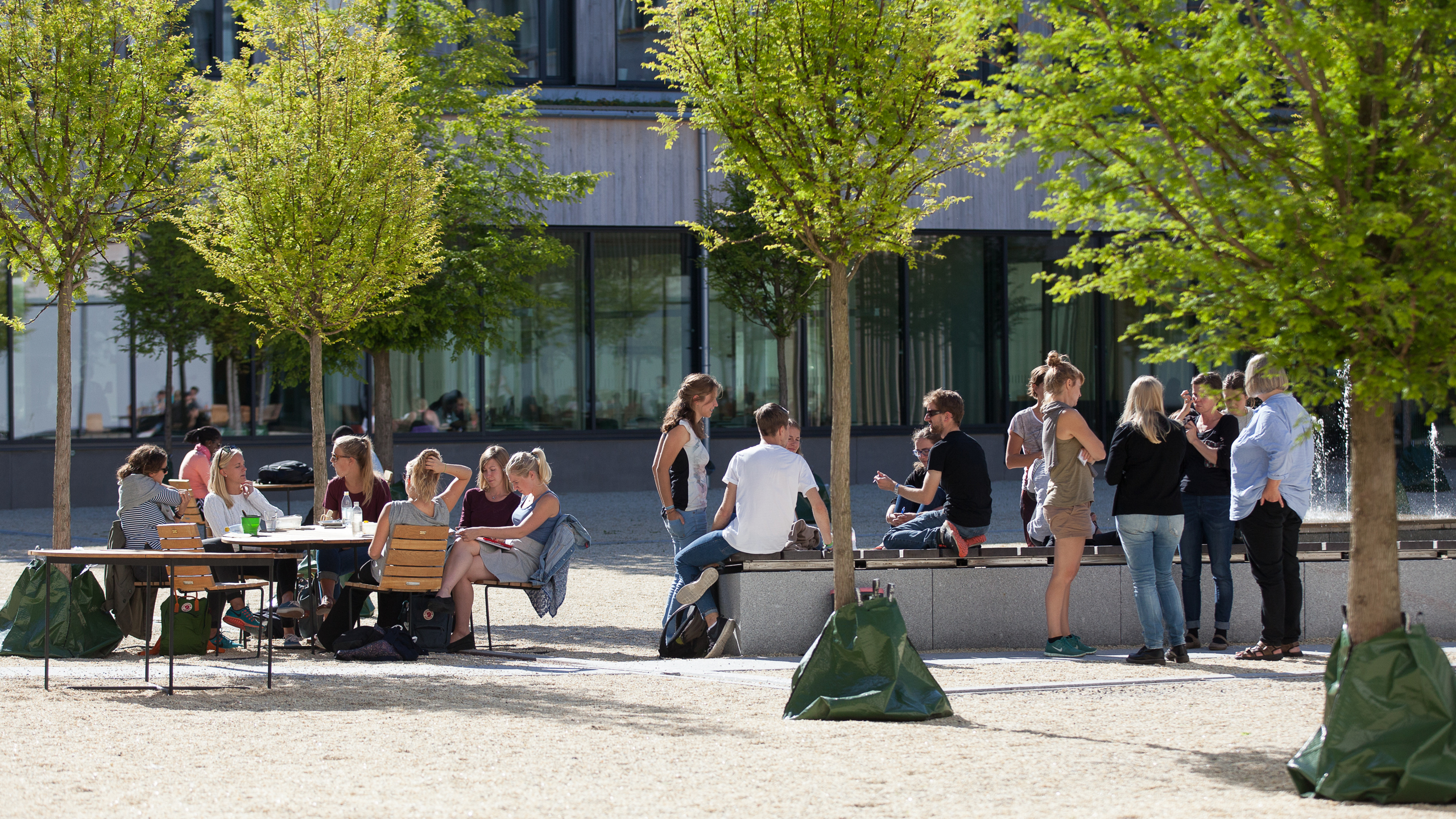 Studenter på Ulls hus innergård vid SLU i Uppsala. 