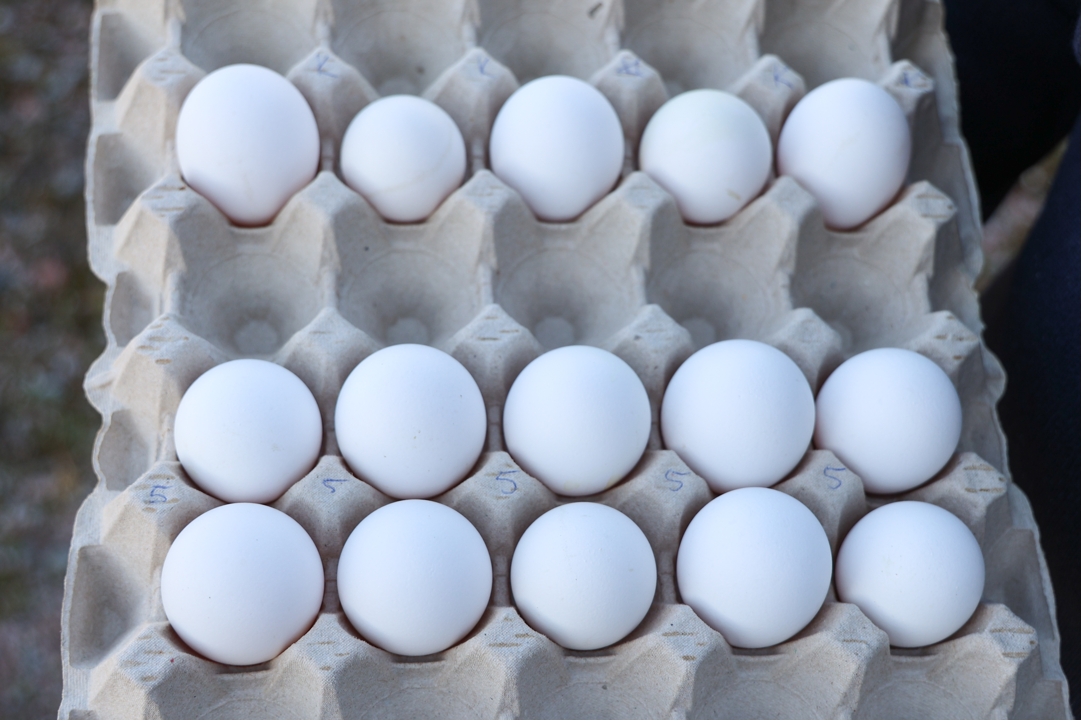 Bild på ägg i en äggkartong.