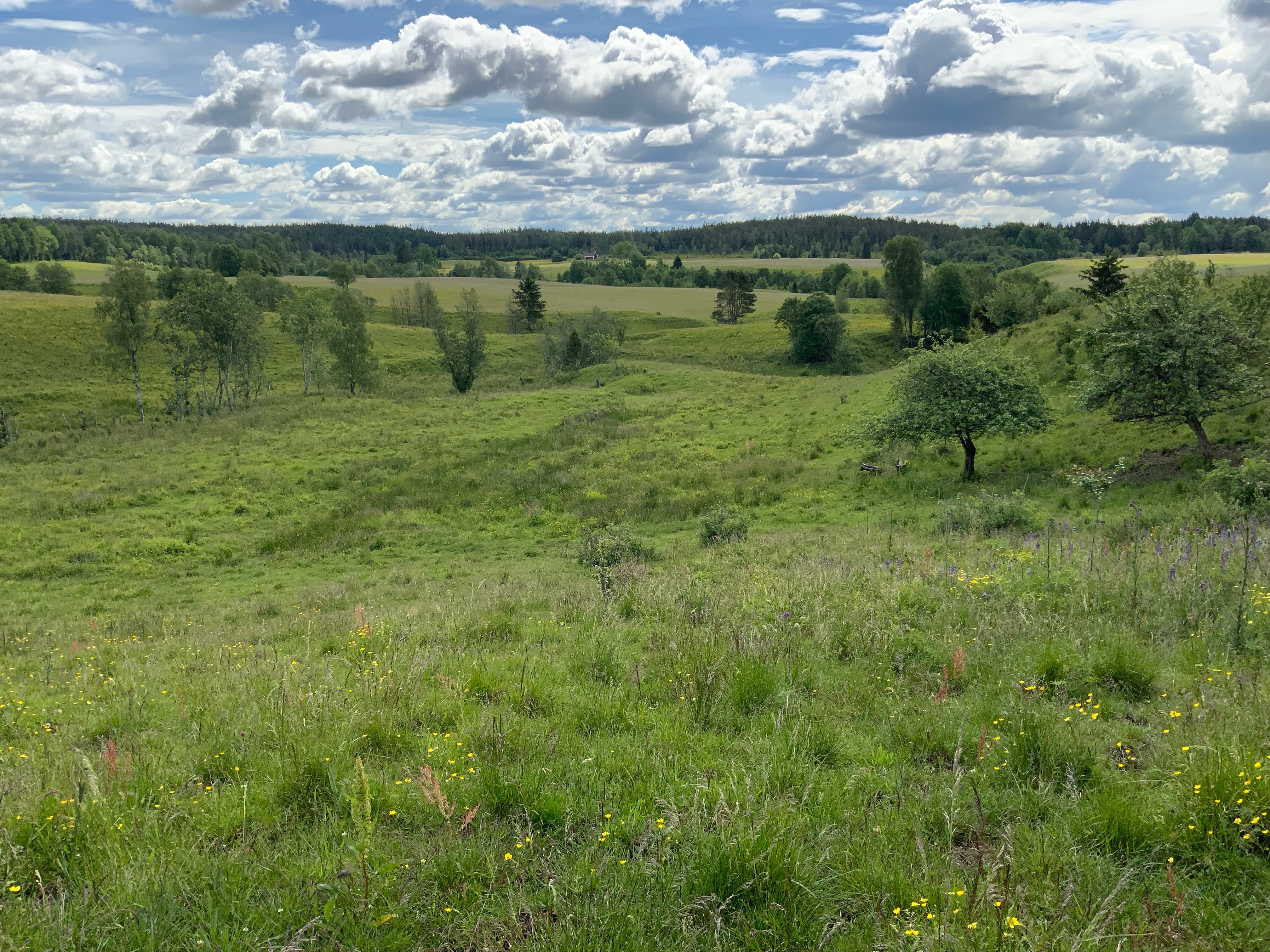 Naturbrukslandskap Foto: Lars Johansson