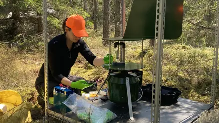 Woman working with a device in the forest.