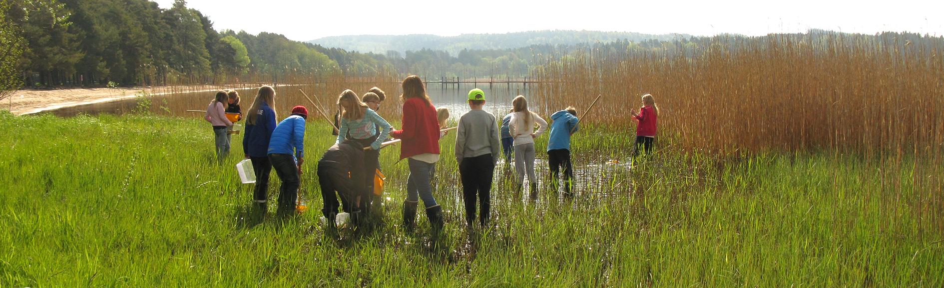 En grupp ungdomar står framför en våtmark. Vass och en vattenspegel syns i bakgrunden. 