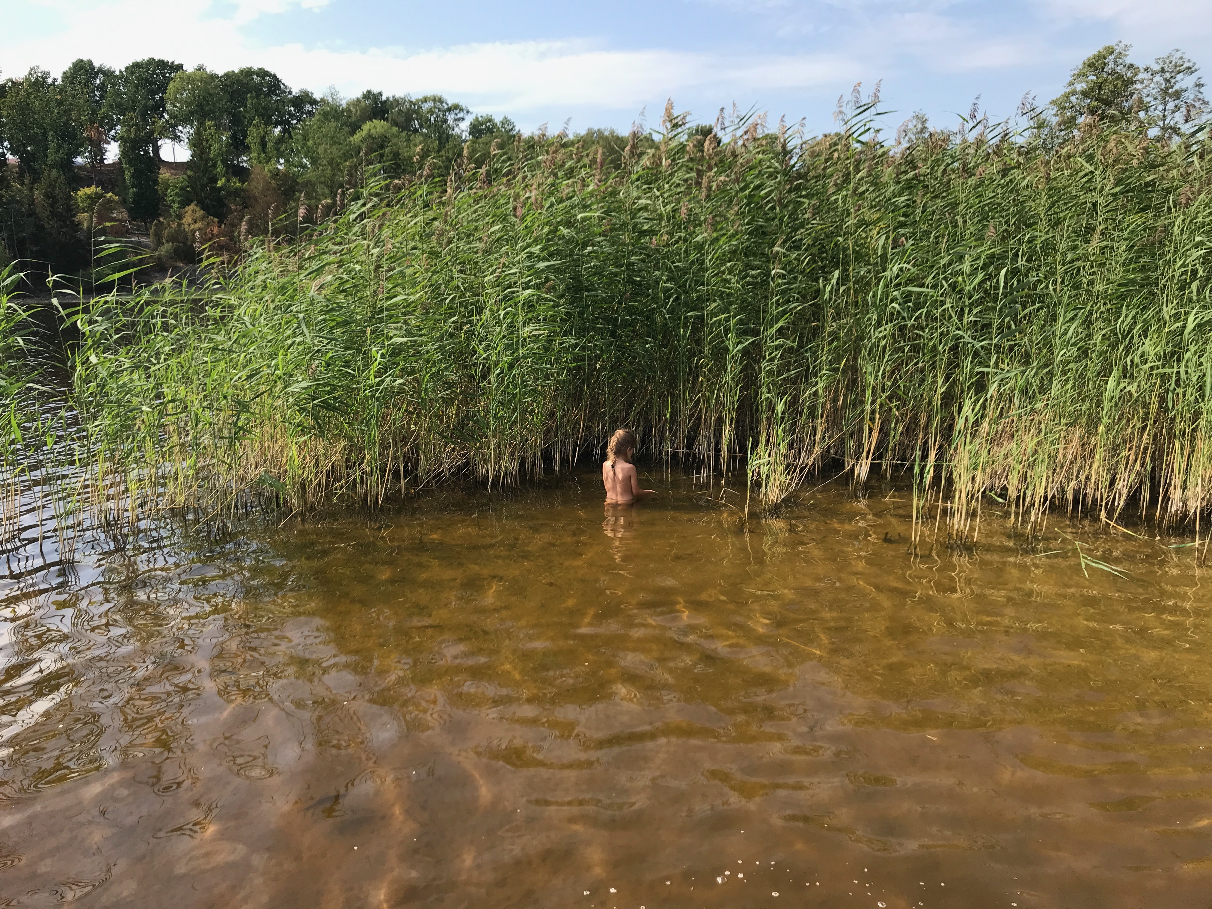 Ett barn står i vattnet vid ett fält med vass. 