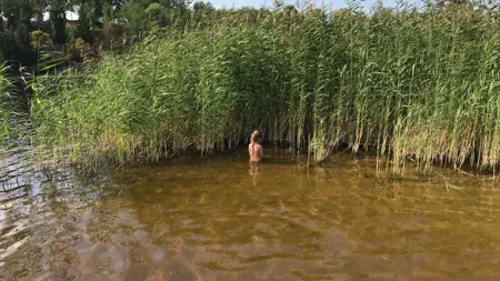 Ett barn står i vattnet vid ett fält med vass.