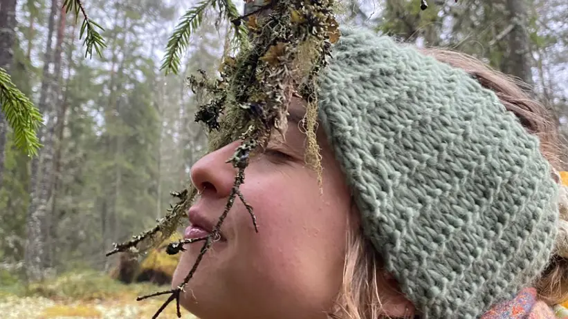 Plant meditation