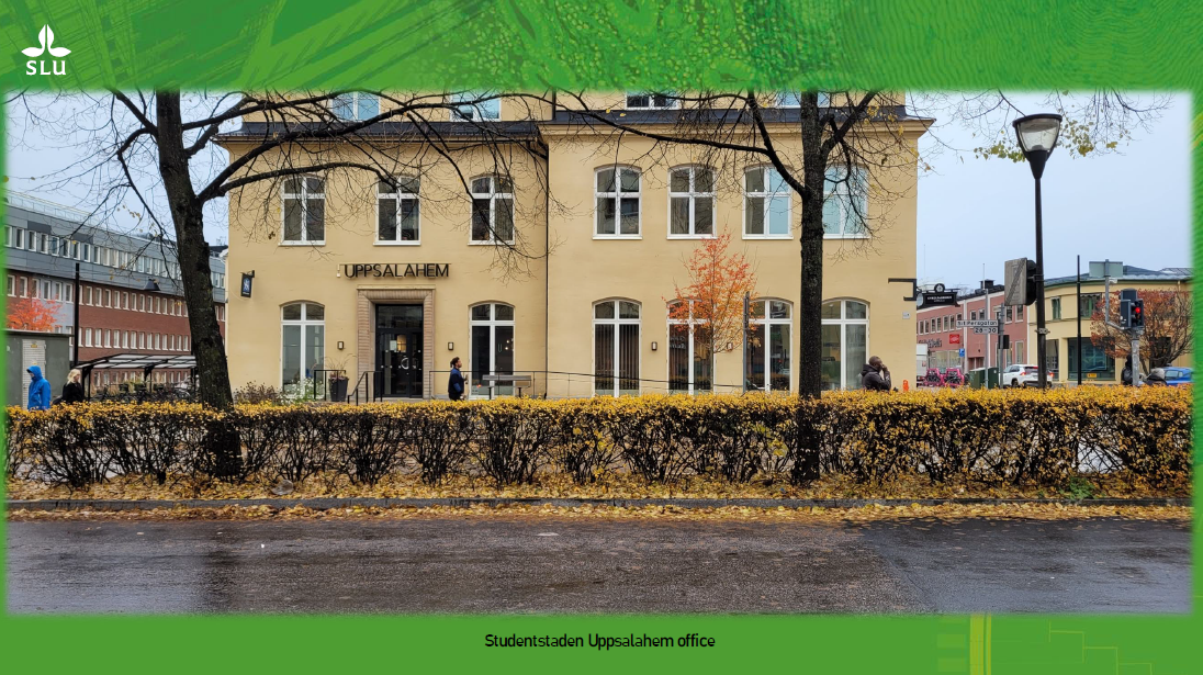 Student accommodation on Rackarbergsgatan