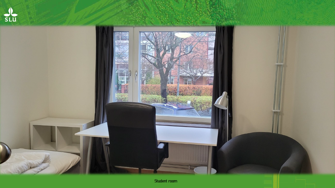 Student accommodation on Rackarbergsgatan