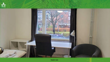 Student accommodation on Rackarbergsgatan