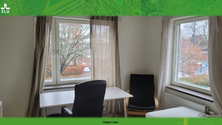 Studentbostäder på Rackarbergsgatan