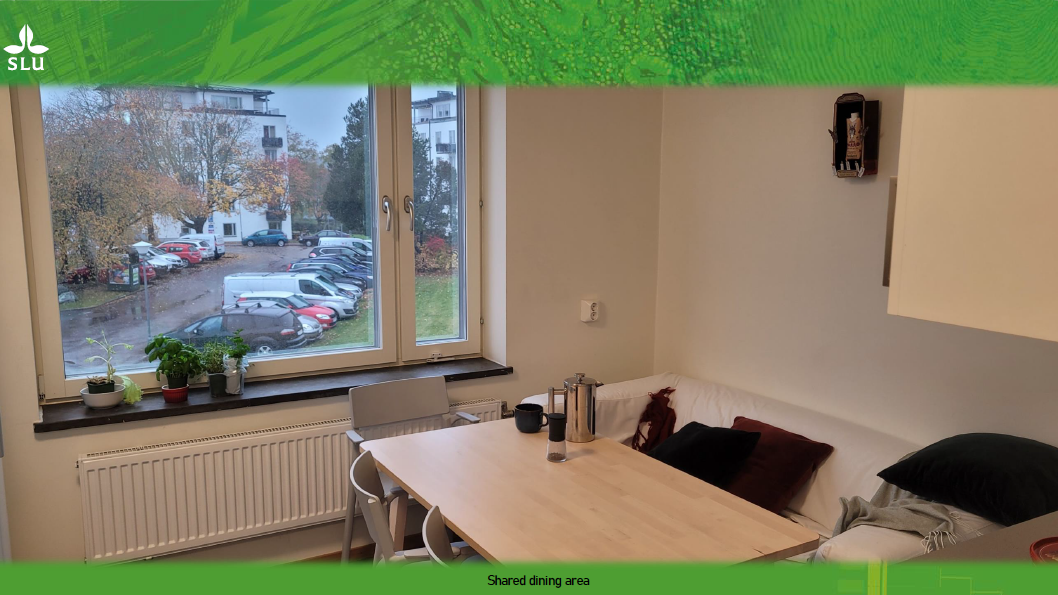 Student accommodation on Rackarbergsgatan