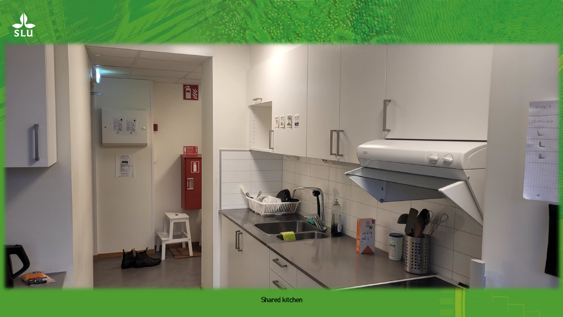 Student accommodation on Rackarbergsgatan