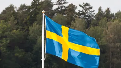 The Swedish flag.