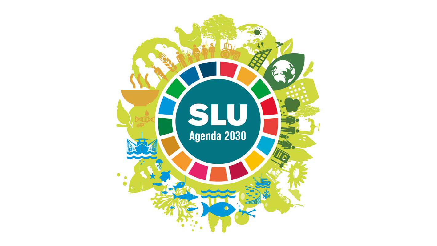 En cirkel med illustrationer i olika färger som symboliserar SLU:s verksamheter ramar in texten  "SLU Agenda 2030".