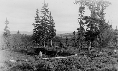 Hygge fotograferat 1935 av Olof Eneroth