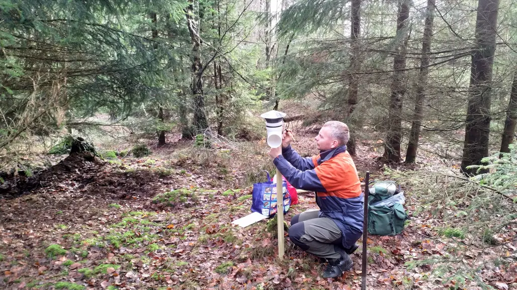 en man på fältförsök i skogen