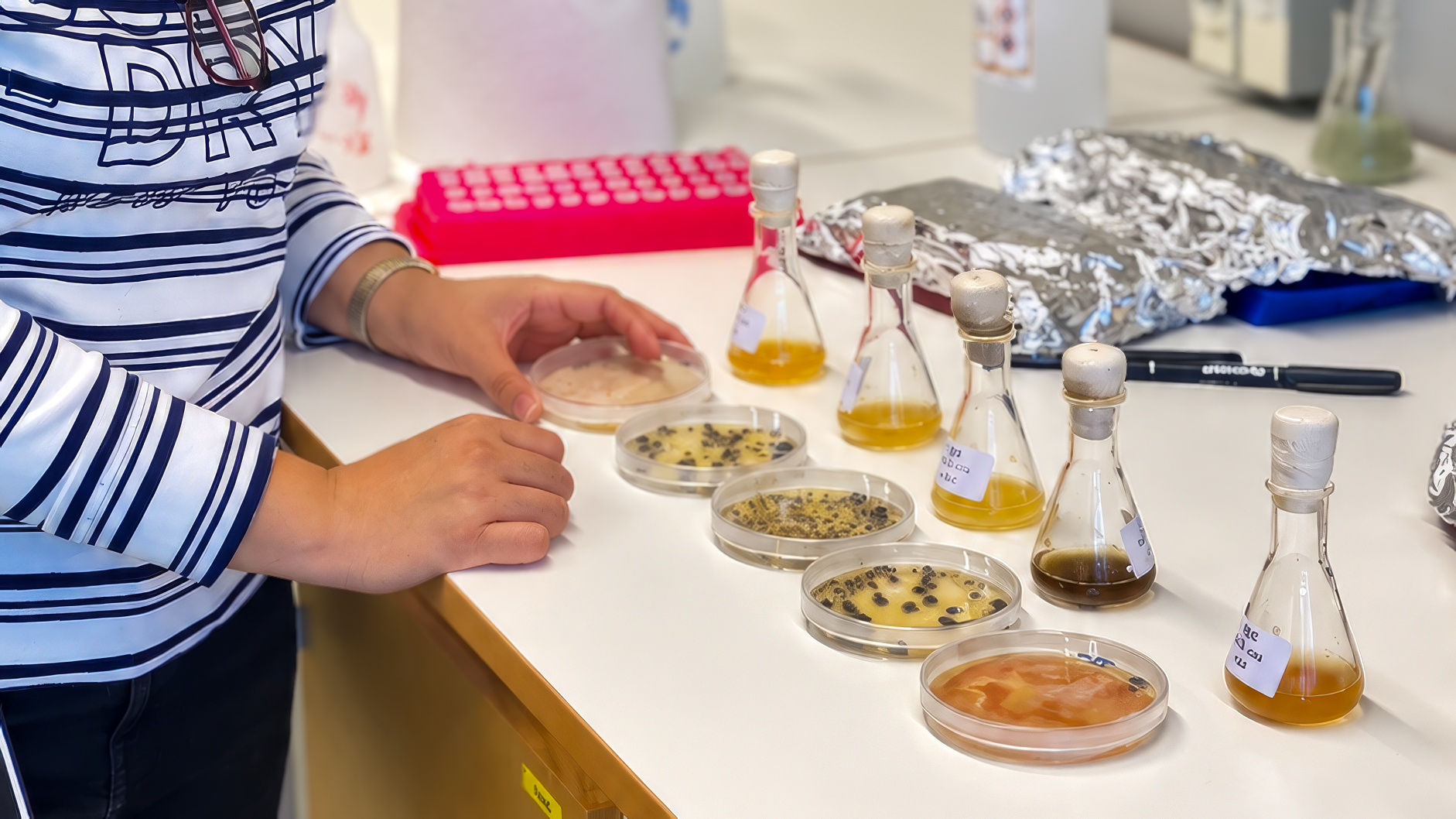 A lab bench with flasks. Photo.