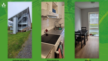 Student accommodation on Kronåsvägen