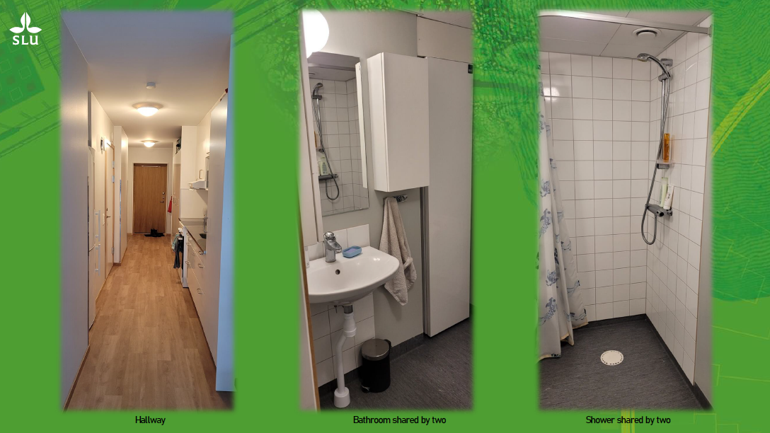 Student accommodation on Kronåsvägen