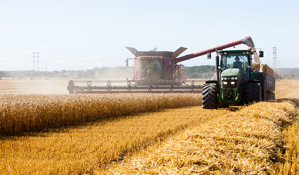 Foto på skördetröska.