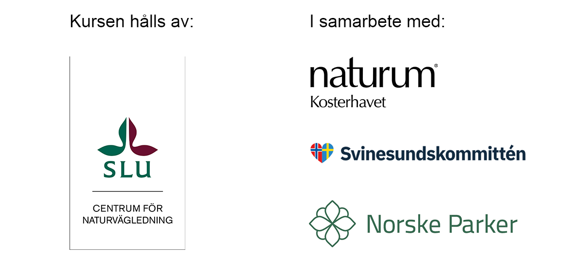 Kursarrangör och samarbetspartners. Fyra organisationers loggor.
