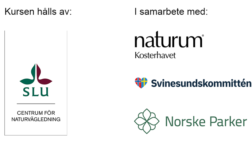 Kursarrangör och samarbetspartners. Fyra organisationers loggor.