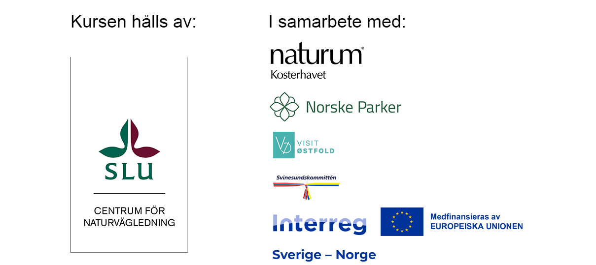 Loggor för flera organisationer