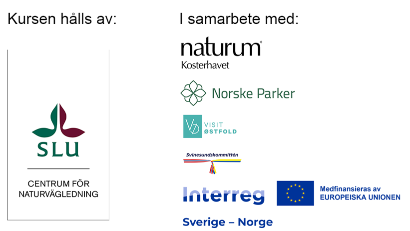 Loggor för flera organisationer