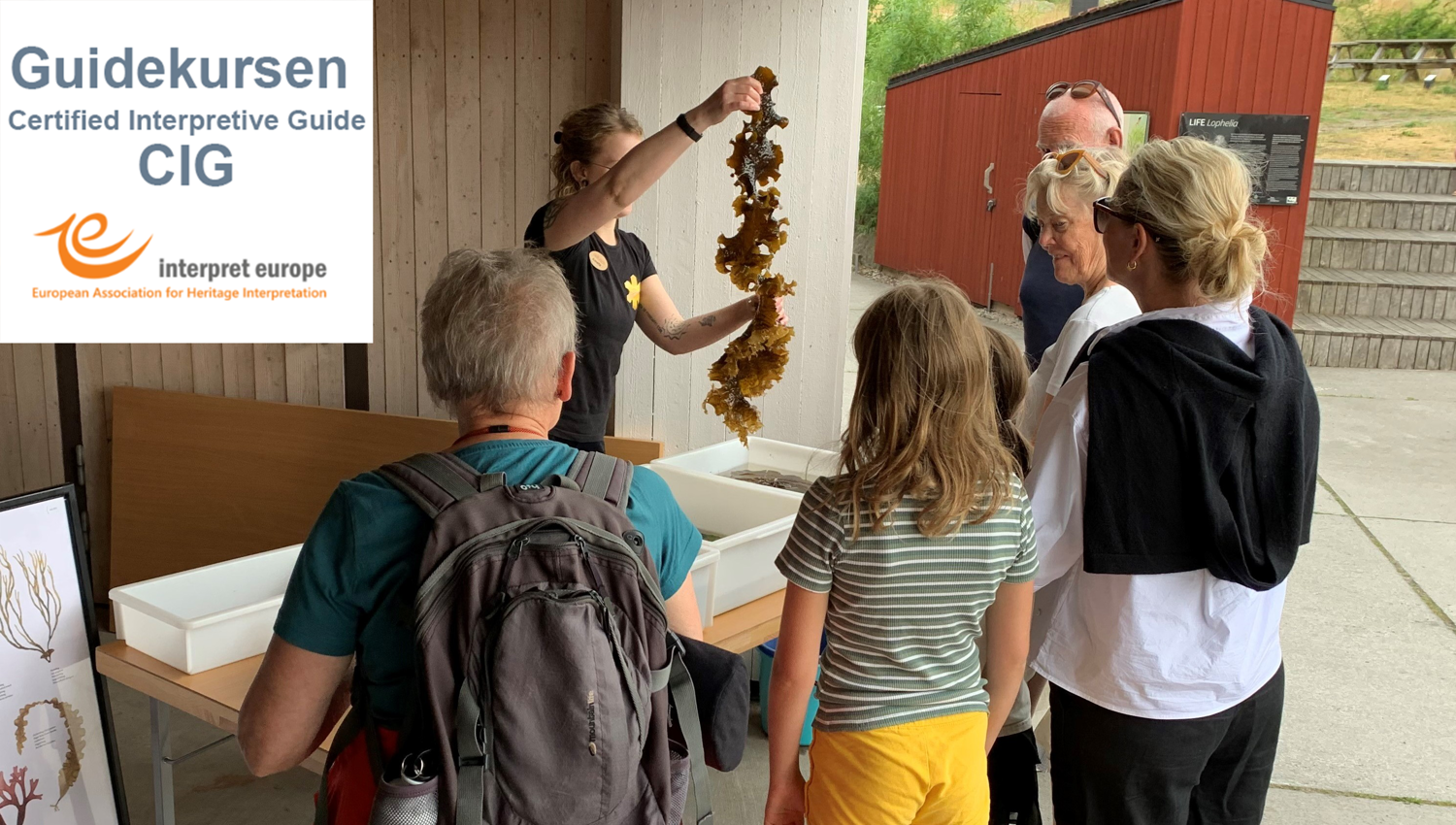 Guide visar tång till intresserade besökare