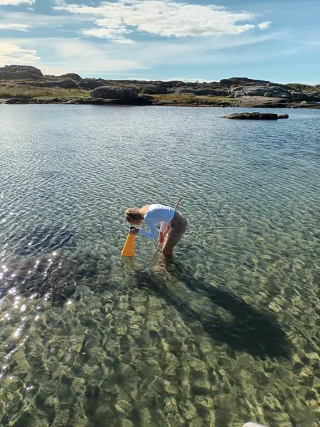 Ett barn står i vattnet och tittar på vad som finns under utan med en vattenkikare.