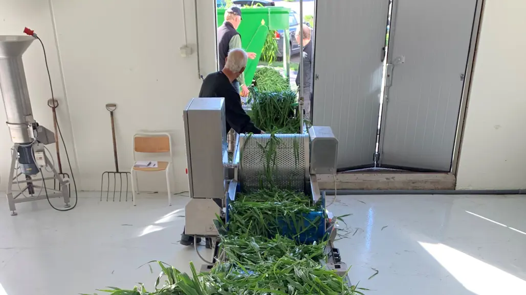 Gräs förs in på ett band till en fabrik