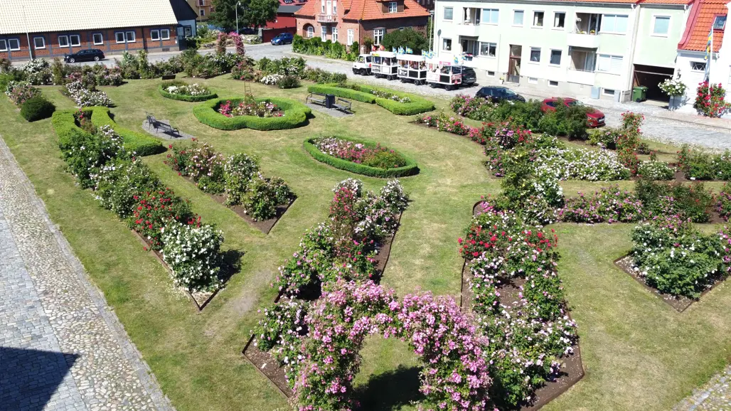 Fotot visar planteringarna på Rosentorget uppifrån. Mängder av rosor blommar i rött, rosa och vitt i rabatterna.