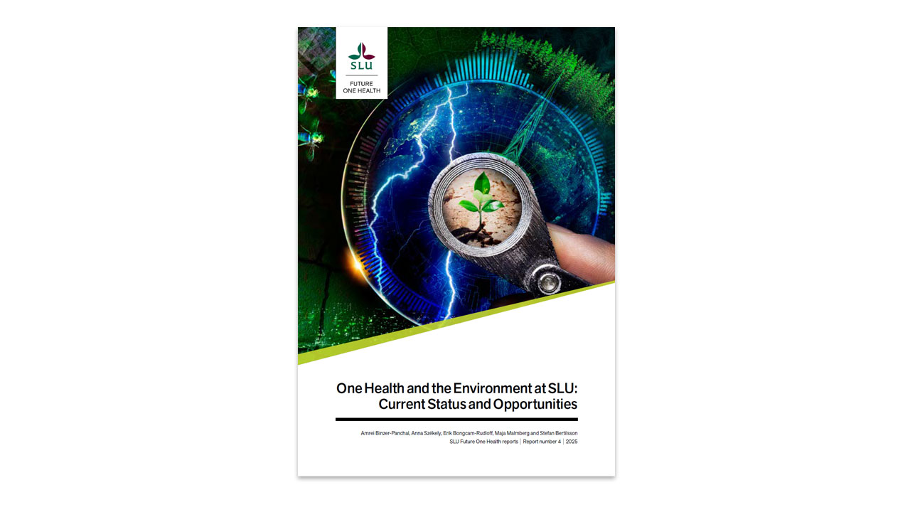 A report cover. Image.