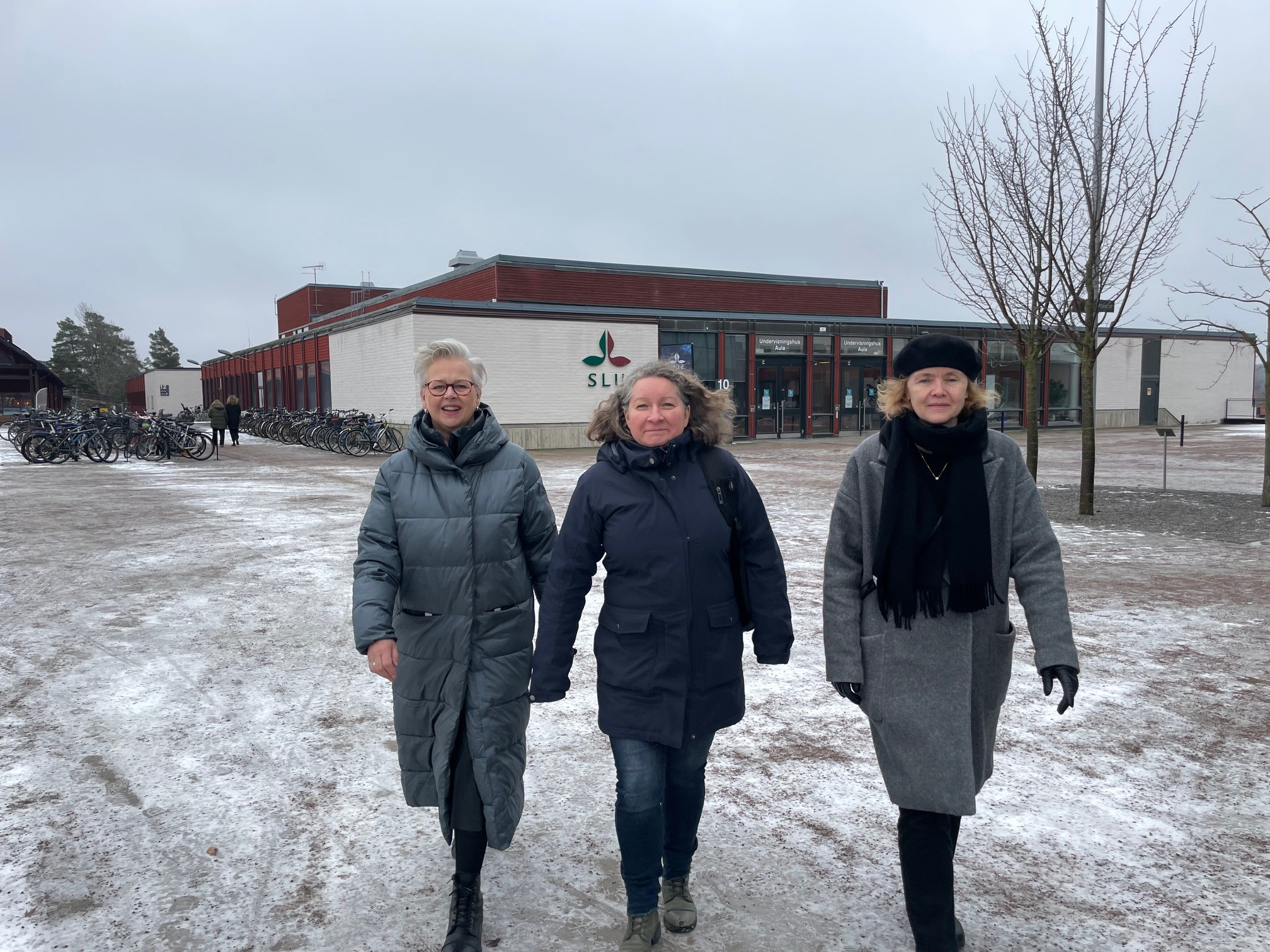 Tre kvinnor går mot kameran