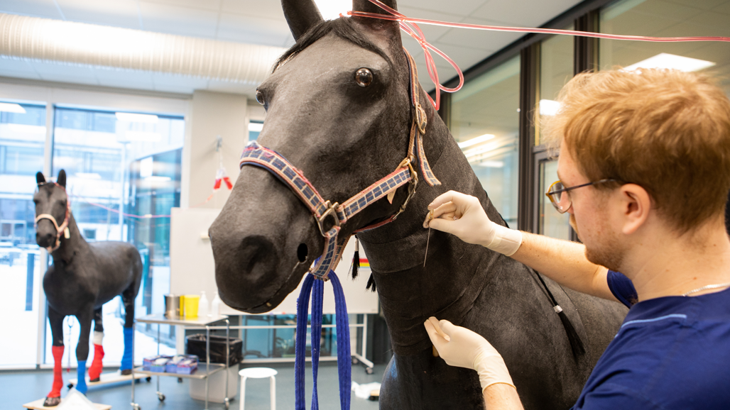 Student standing next to a horse dummy
