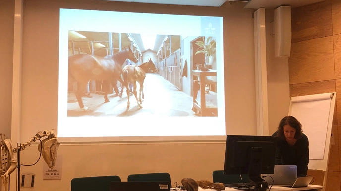 Photo of a woman lecturing in a classroom about horse research.