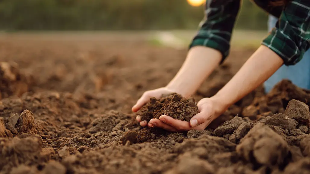 Händer gräver i jord. Foto: Shutterstock