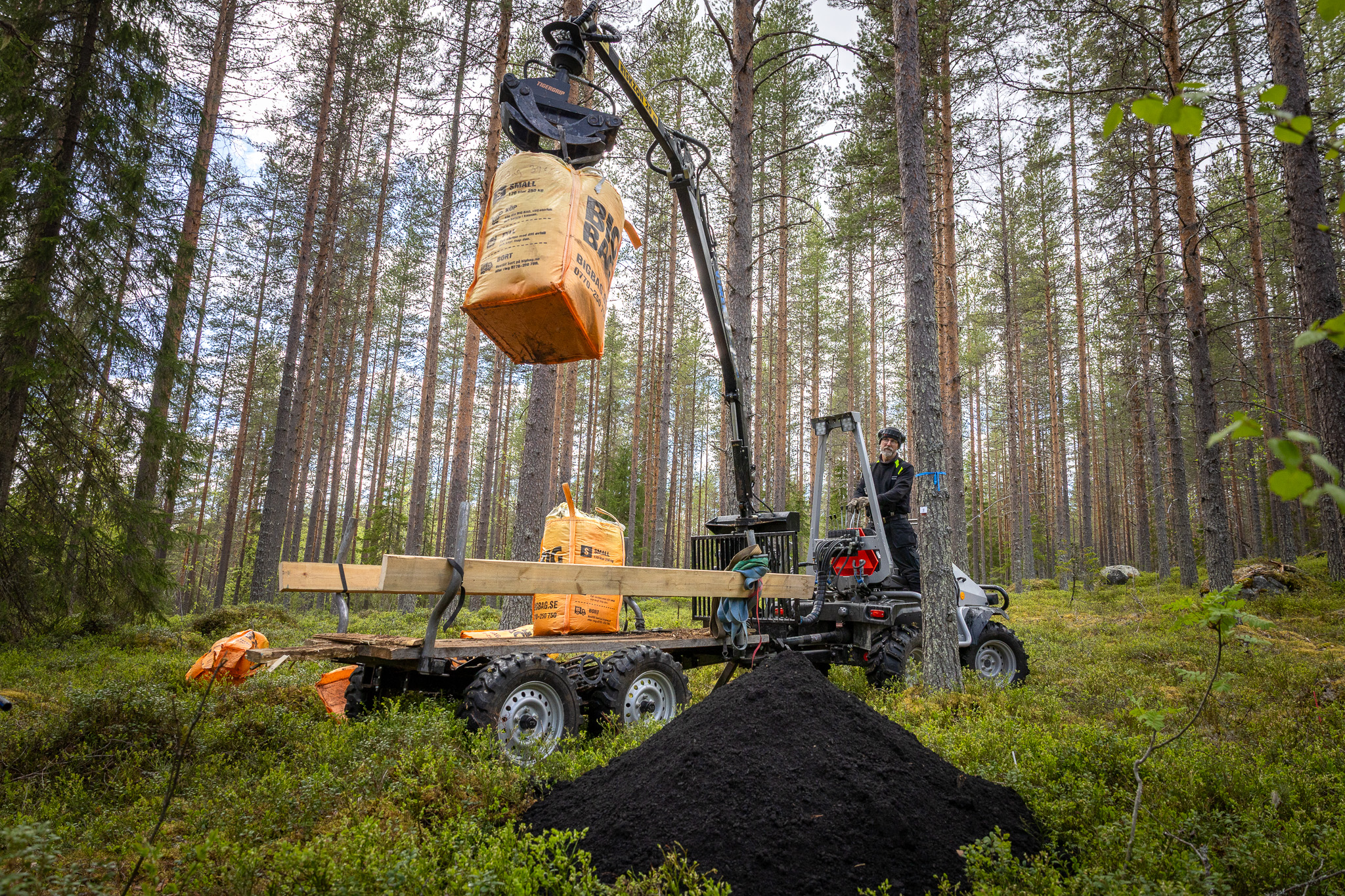 Skogsmaskin med kran lyfter en säck med aska bredvid en stor askhög i tallskog.