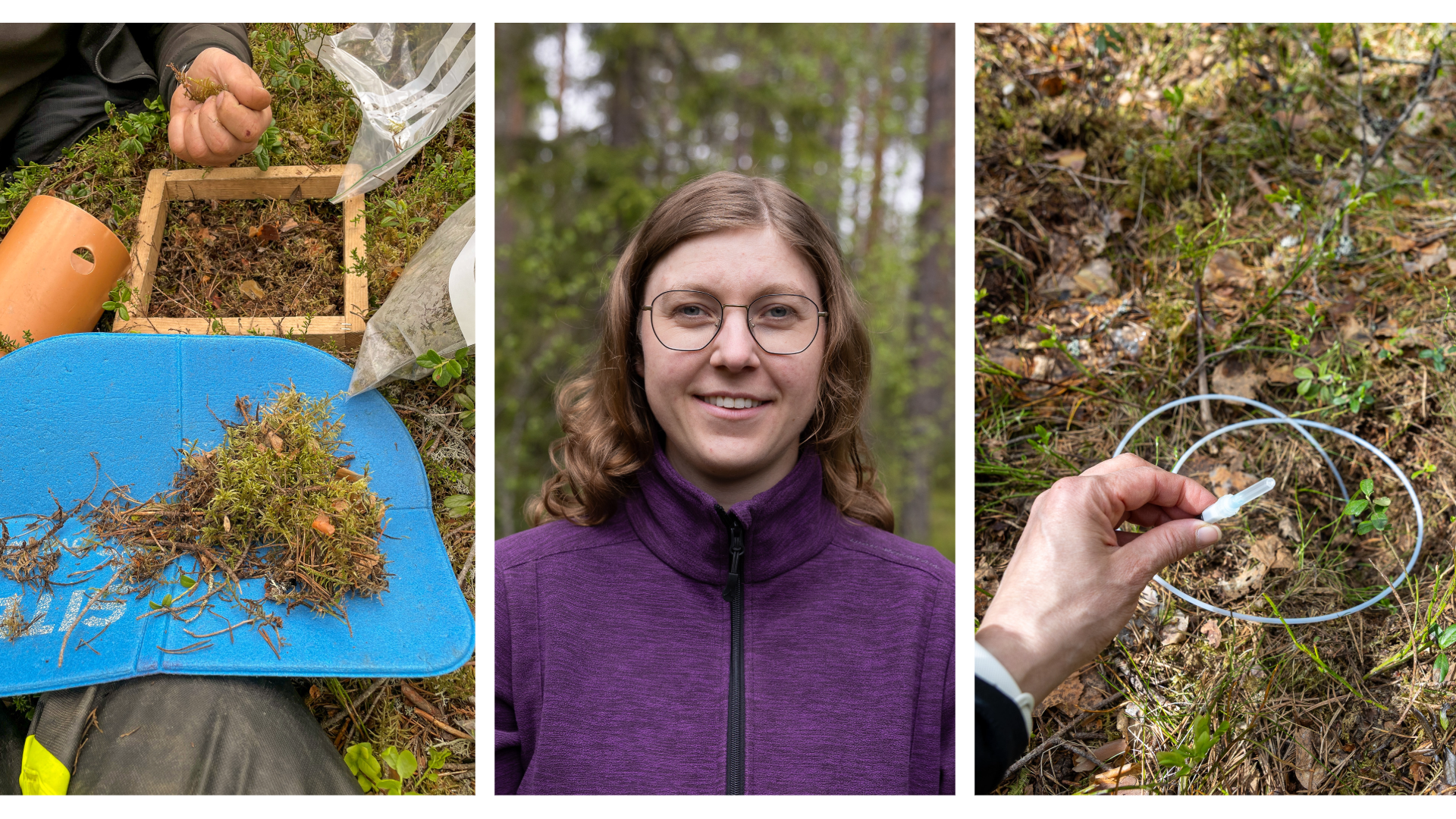 Kollage med provtagning i skogen och ett porträtt av Linnea Larsson.