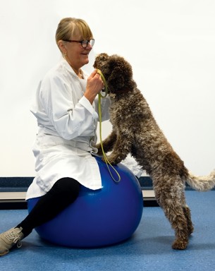 Photo of a woman (Professor Anna Bergh) with dog indoors.