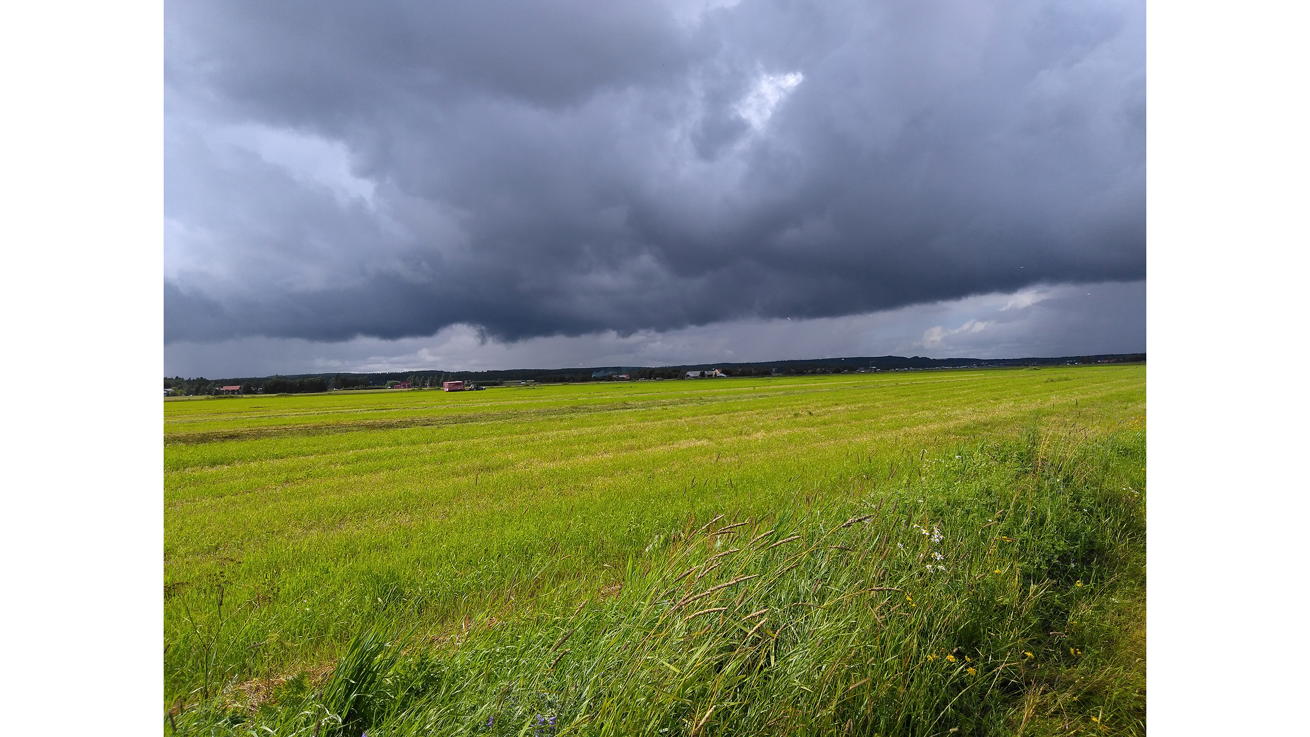  A cultivated field with dark clouds above.