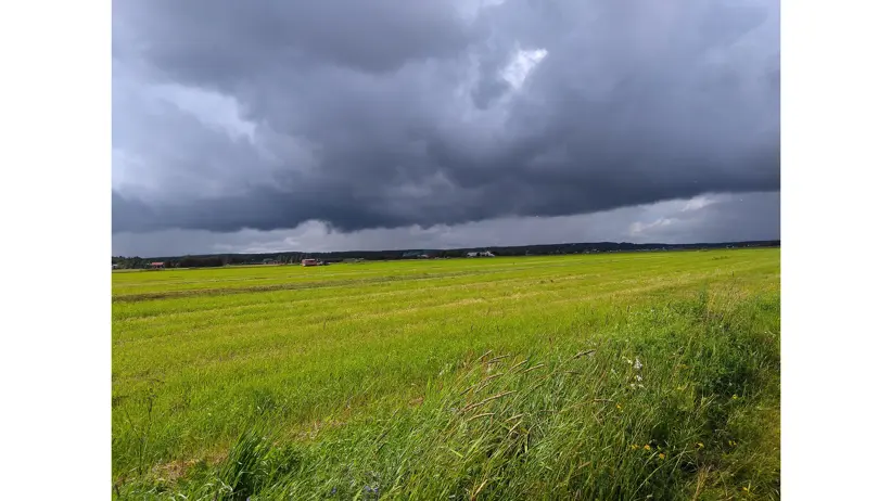 A cultivated field with dark clouds above.