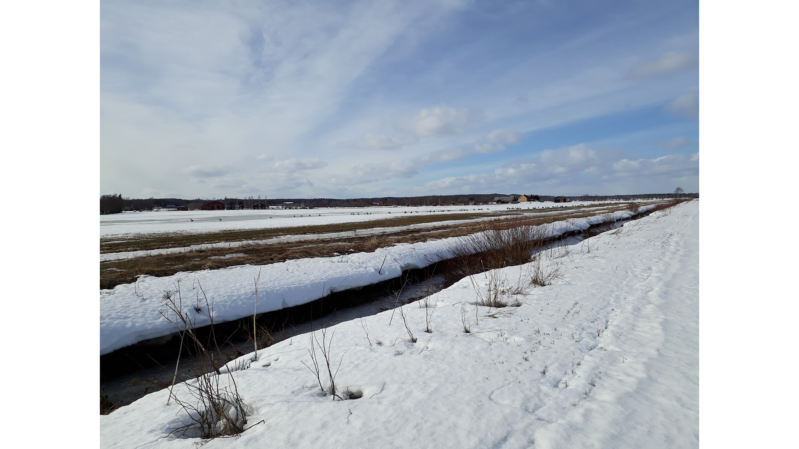  Water flows along a snow-covered crop field.