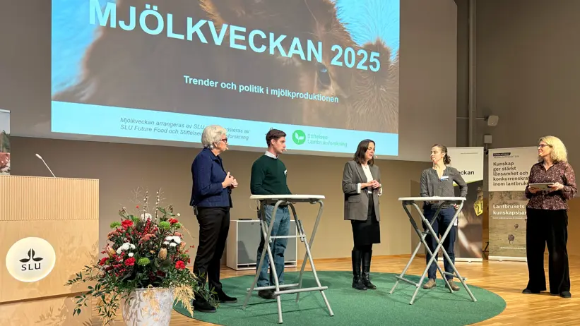 Flera personer vid bord på en scen. Foto.