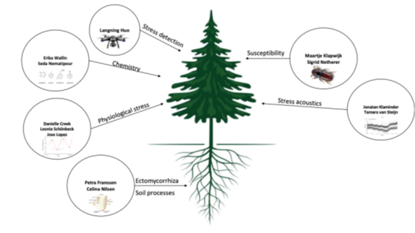 Illustration över projekt strukturen. Bild.