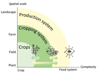 En graf som visar at productionssystem omfattar mer än odlingssystem i fråga om komplexitet och spatial skala.