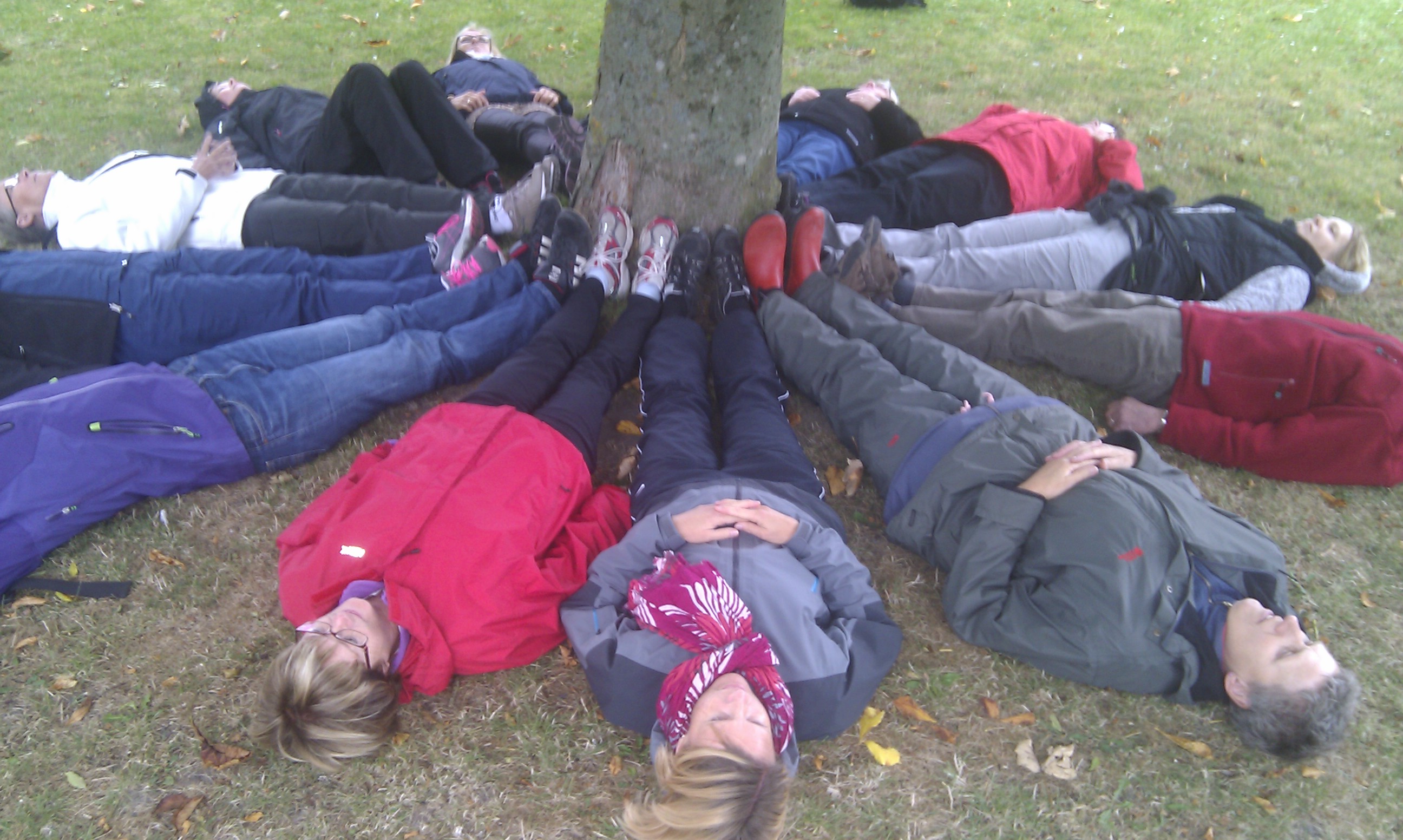 personer ligger på marken runt ett träd