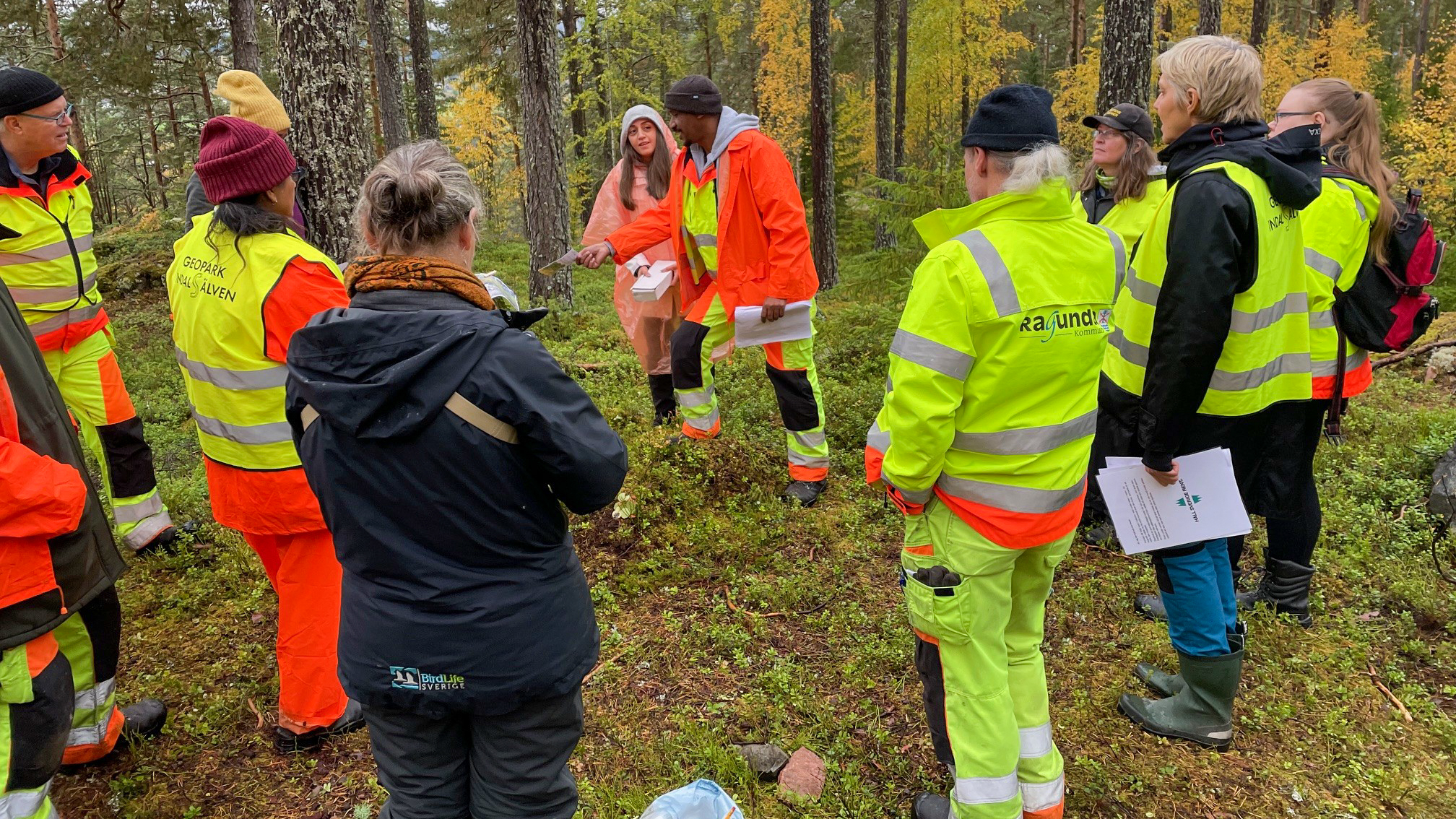 En grupp personer i varselvästar står i en cirkel och pratar i skogen.